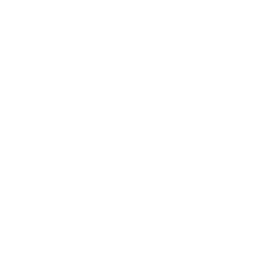 Core Values